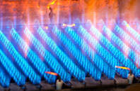 Dowlish Wake gas fired boilers